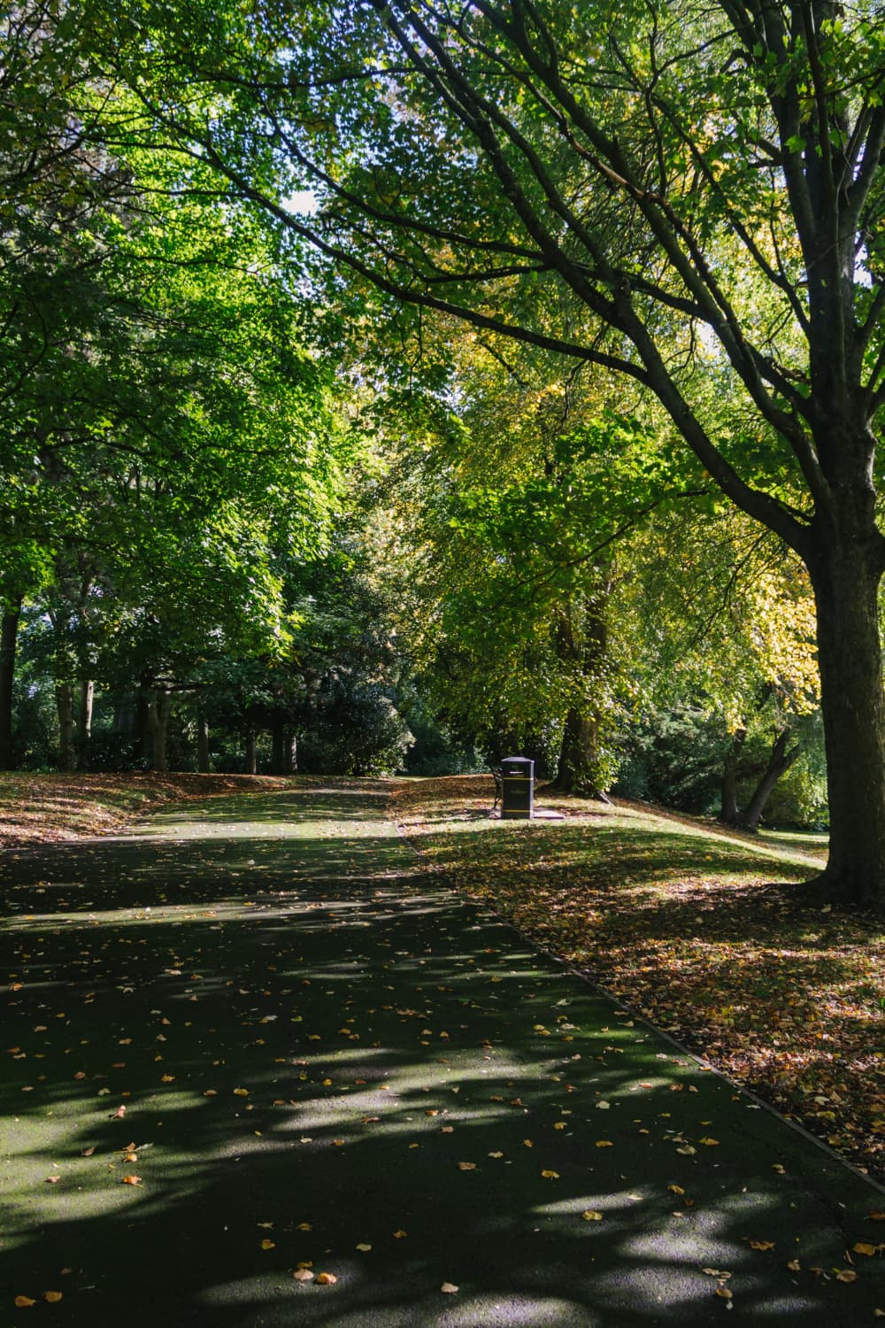 Sąsiedztwo z naturą